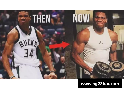 NG南宫28雷丁NBA：探索历史、明星与未来